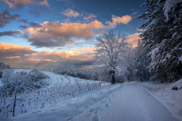 Какая погода будет в Москве с 30 декабря по 2 января? Синоптики отвечают